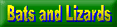 Bats and Lizards