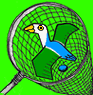 Ozbird.Net