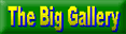 The Big Gallery